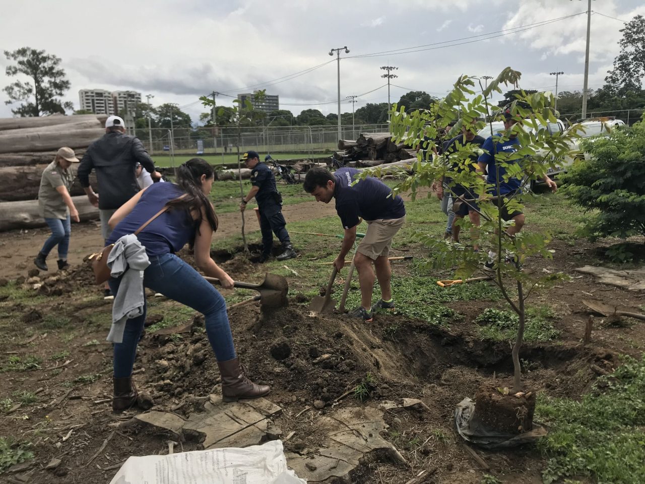 ▷ Voluntariado plantar arboles madrid | Actualizado febrero 2023