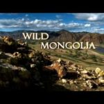 Fauna y flora de mongolia